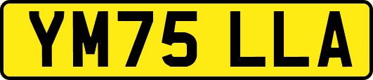 YM75LLA