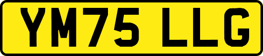 YM75LLG