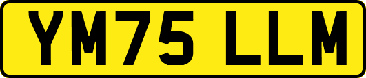YM75LLM