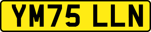 YM75LLN