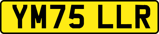 YM75LLR