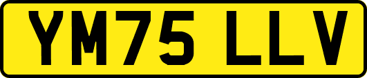 YM75LLV