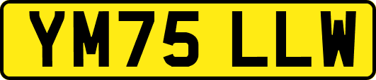 YM75LLW