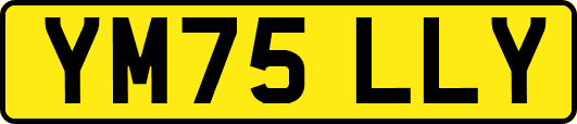 YM75LLY