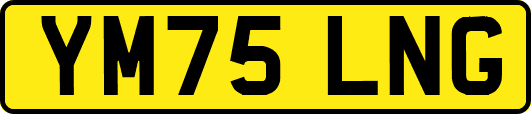 YM75LNG