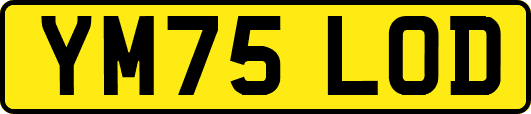 YM75LOD