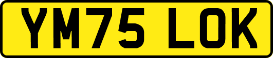 YM75LOK
