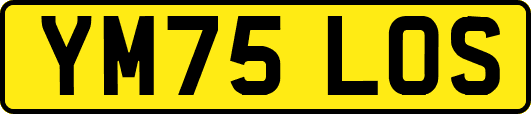 YM75LOS