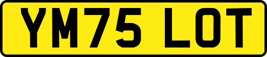 YM75LOT