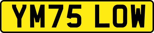 YM75LOW