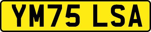 YM75LSA