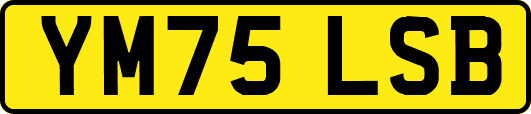 YM75LSB