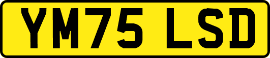 YM75LSD