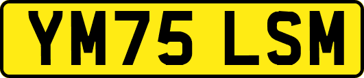 YM75LSM