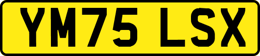 YM75LSX