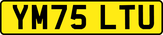 YM75LTU