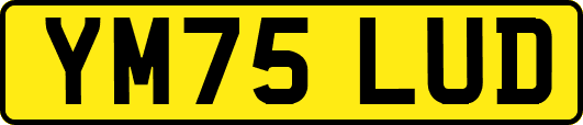YM75LUD