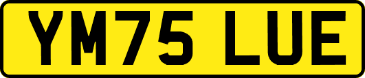 YM75LUE