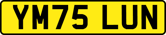 YM75LUN