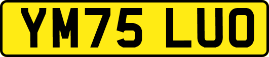 YM75LUO