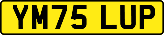 YM75LUP