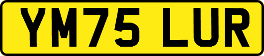 YM75LUR