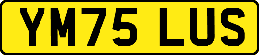 YM75LUS