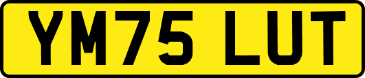 YM75LUT
