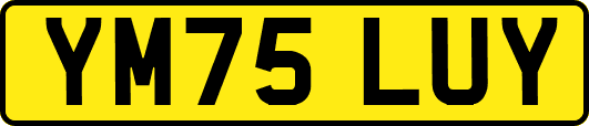 YM75LUY