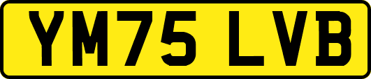 YM75LVB