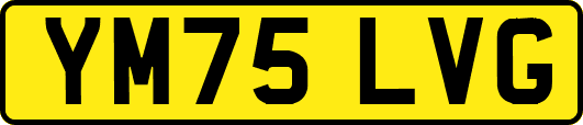 YM75LVG