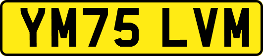 YM75LVM