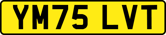 YM75LVT
