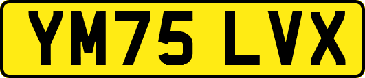 YM75LVX