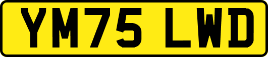 YM75LWD