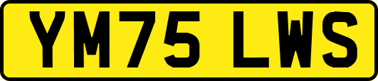 YM75LWS