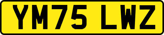 YM75LWZ