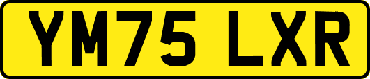 YM75LXR
