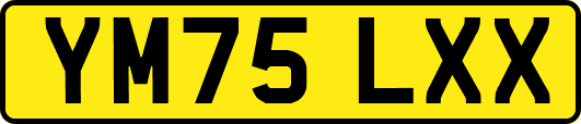 YM75LXX
