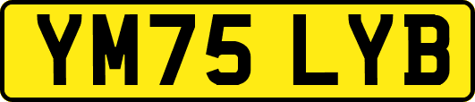 YM75LYB