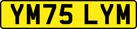YM75LYM