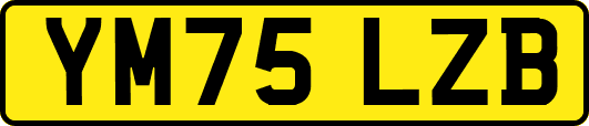 YM75LZB