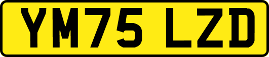 YM75LZD