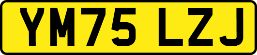 YM75LZJ