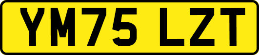 YM75LZT