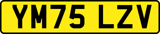 YM75LZV