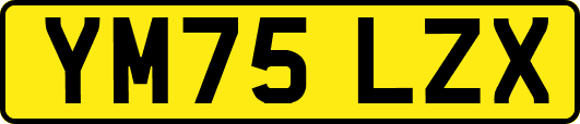 YM75LZX