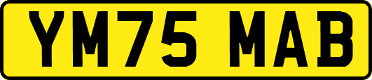 YM75MAB