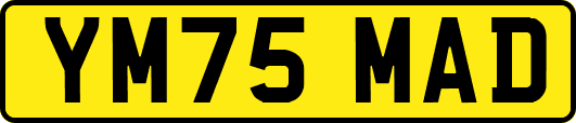 YM75MAD