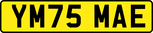 YM75MAE